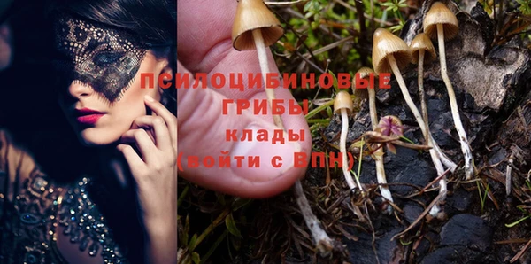 каннабис Алексеевка